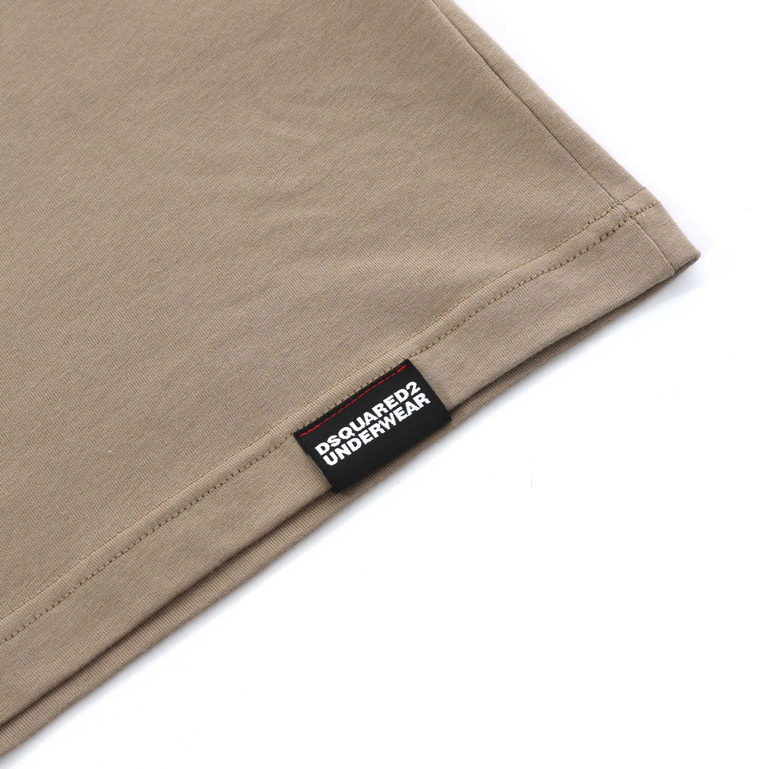 Dsquared2 Small Written Logo T Shirt in Beige