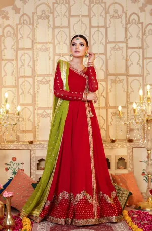 Ruby Red Embellished Chiffon Frock (Raspberry)