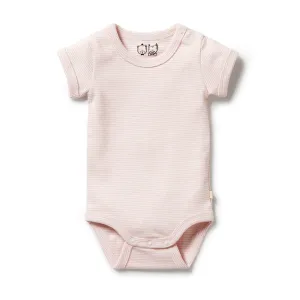 Wilson & Frenchy Organic Stripe Rib Bodysuit - Cantaloupe